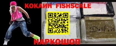 герыч Гатчина