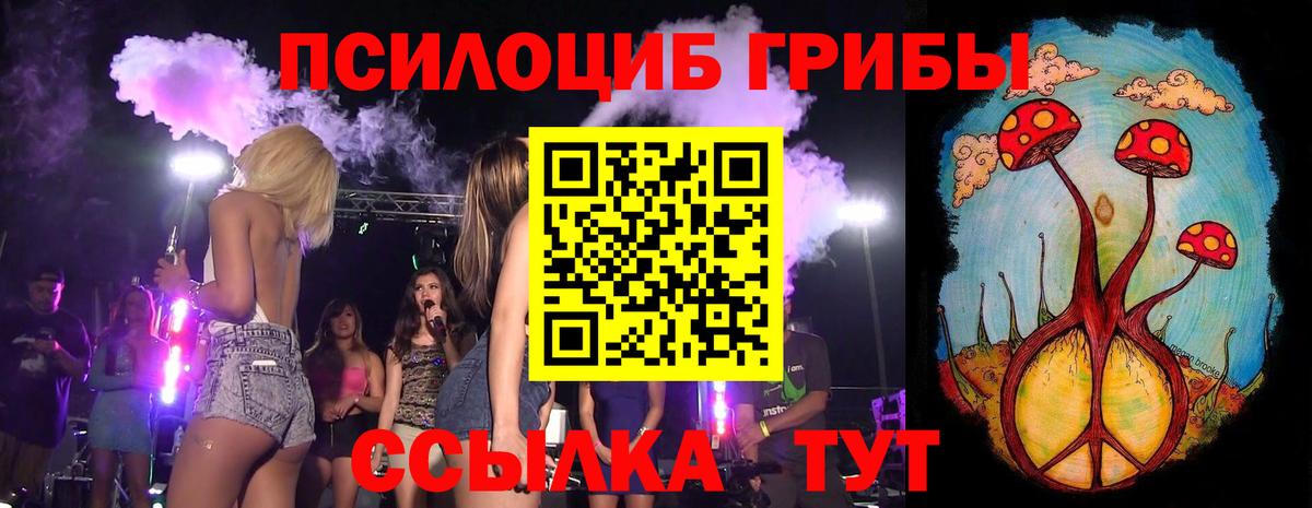 Мценск  Псилоцибиновые грибы Psilocybe  Вход с VPN  Псилоцибиновые грибы Magic Shrooms 